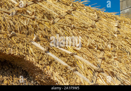 Recentemente ristrutturato e rinnovato di paglia di paglia sul tetto di un villaggio cottage dopo la riparazione e rinnovo compresa sostituzione tetto di cresta Foto Stock