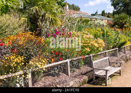 Una magnifica esposizione di fiori d'estate in Golden Acre Park, Leeds, West Yorkshire Regno Unito Foto Stock