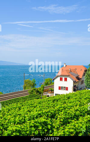 Ferrovia panoramica che conduce sulla costa del lago di Ginevra Lac Leman in Svizzera. Vigna verde sul versante adiacente. Lavaux regione dei vini. Swiss estate. La ferrovia, binari ferroviari. Fotografia verticale. Foto Stock