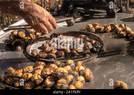 Acquerello immagine: castagne cotte alla griglia per la vendita su strada Foto Stock
