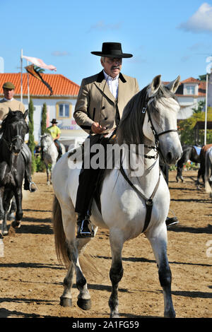 Mostra Nazionale del Cavallo. Golegã, Portogallo Foto Stock