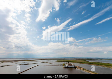 I campi di riso in Edirne lago di gala, Edirne, Turchia Foto Stock