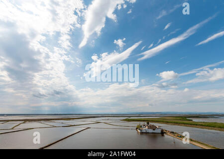 I campi di riso in Edirne lago di gala, Edirne, Turchia Foto Stock