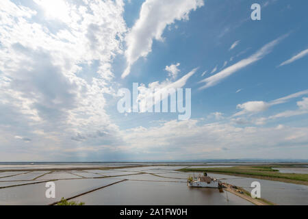 I campi di riso in Edirne lago di gala, Edirne, Turchia Foto Stock