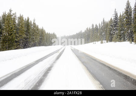 Deserta strada di montagna attraverso una foresta di pini durante una nevicata in inverno Foto Stock