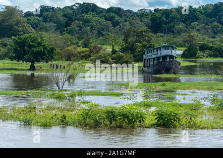 Obersations su una due giorni di viaggio in barca da Manaus a Tefé, il mese di maggio, Rio Solimoes, Amazonas, fine della stagione piovosa,l'Amazzonia, Brasile, America Latina Foto Stock