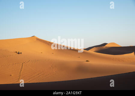 Sanddunes e modelli di desert nel sud del Marocco Foto Stock