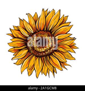 Girasole disegnati a mano illustrazione vettoriale. Bellissimo fiore Orange Bud, fioritura di fiori selvaggi. Agricoltura, estate natura cartoon simbolo. Impianto di fattoria, Helianthus blossom realistico disegno a mano libera Illustrazione Vettoriale