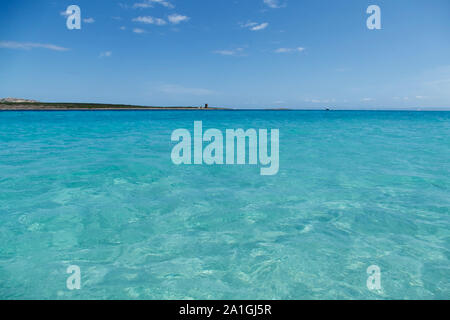 Spiaggia del mediterraneo. La Spiaggia La Pelosa, Stintino, Sardegna, Italia Foto Stock