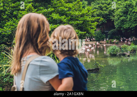 Madre e figlio stanno guardando il gregge di uccelli, di fenicotteri rosa su uno stagno di Hong Kong Park. Foto Stock