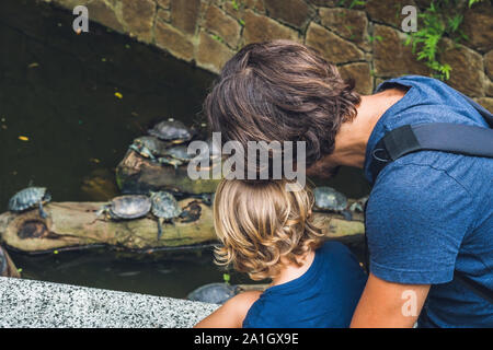 Padre e figlio guardare le tartarughe di acqua nuotare nello stagno di Hong Kong. Foto Stock