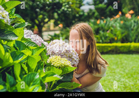 Giovane donna sullo sfondo di luce rosa fiori di ortensie in fiore nel giardino Foto Stock