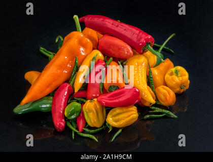 Ancora vita immagine di diversi tipi di peperoni Foto Stock