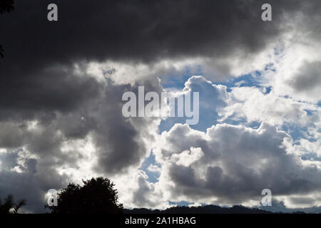 Nuvole scure che si formano sulla sky con sillhouette del fogliame presso il telaio inferiore Foto Stock