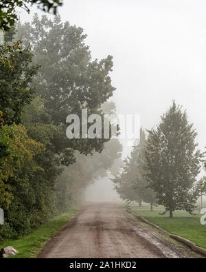 Nebbia mattutina travolge un paese rurale strada sterrata. Foto Stock