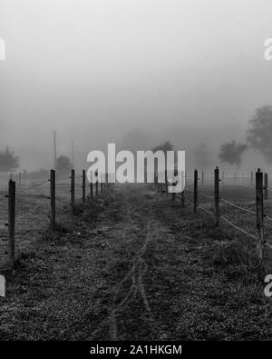 Nebbia mattutina travolge un paese rurale strada sterrata. Foto Stock