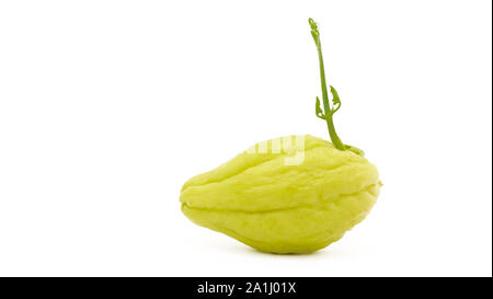 Chuchu Chayote isolati su sfondo bianco Foto Stock