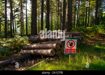 Una silvicoltura segno della Commissione Avviso di persone di non salire su alcuni registri di pino in una foresta di Sutherland Scotland Regno Unito Foto Stock
