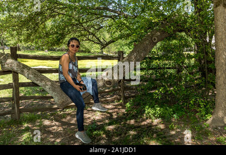 Donna asiatica con occhiali da sole e jeans seduti sul ramo di albero nella parte anteriore di pascolo Foto Stock