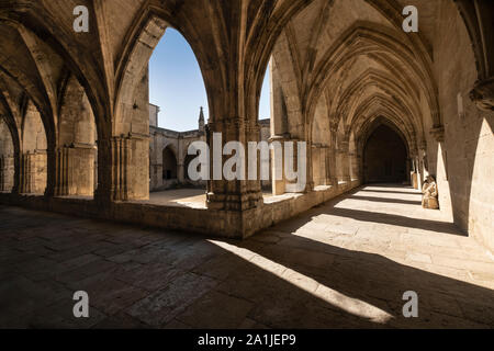 Chiostri a Beziers Cattedrale di Saint-Nazaire e Saint Celse. Gotica costruita sul luogo del massacro da parte crociata albigese Foto Stock