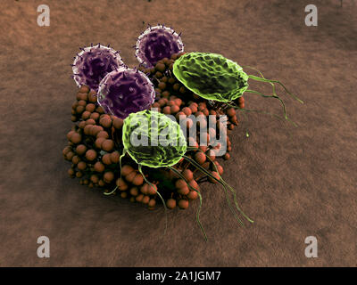 Virus e i macrofagi, linfociti e fagociti colonia di attacco di funghi, sistema immunitario umano attaccare il fungo, linfociti attaccano il fungo Foto Stock