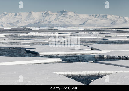 Ice floes dalla rottura del mare di ghiaccio nella parte anteriore del Ross Ice shelf e nel McMurdo Sound. Vicino a base di Scott e McMurdo Station, Antartide Foto Stock
