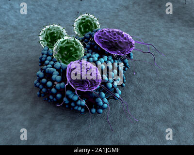 Virus e i macrofagi, linfociti e fagociti colonia di attacco di funghi, sistema immunitario umano attaccare il fungo, linfociti attaccano il fungo Foto Stock