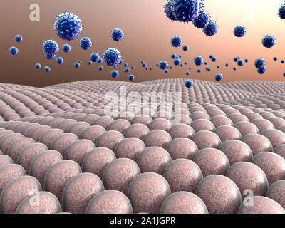 Campo di cellule, virus attaccano le cellule, azione del sistema immunitario umano Foto Stock