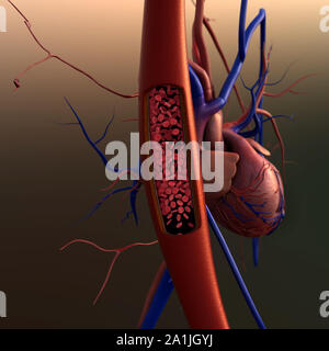 Arteria mostrato con una sezione tagliata, di alta qualità di rendering originale con texture e illuminazione globale, la contrazione dei vasi sanguigni in un cuore ba Foto Stock
