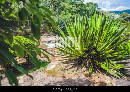 Bellissima cascata Camly nella città di da Lat Foto Stock