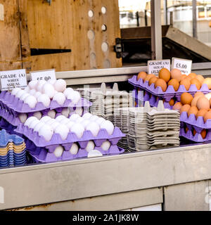 I vassoi di carni bianche e marroni le uova organiche per la vendita su un mercato gli operatori stallo in Inghilterra Foto Stock