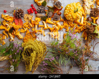 In autunno la vita ancora con la zucca, chantelle funghi, mais, ghiande, coni, bacche rosse, alle erbe, castagne e foglie su sfondo di legno, selettivo fo Foto Stock