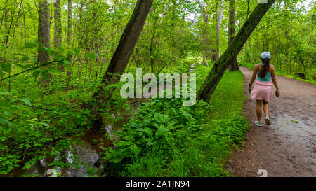 Medioevo donna con rosa maglione camminando sul sentiero nel Parco Nazionale Foto Stock