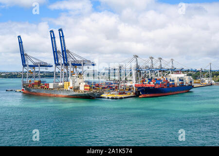 Fergusson terminale per container, porte di Auckland in Nuova Zelanda. Foto Stock