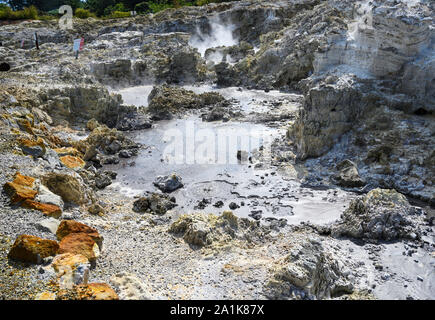 Tikitere, o "Hell's Gate' è un area geotermica e arrtaction turistica a Rotorua, Nuova Zelanda. Funzioni It, fumanti piscine di fango, fumarole e altro ancora. Foto Stock