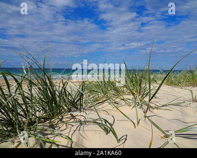 Grassy 75 Mile Beach L'Isola di Fraser Queensland Australia Foto Stock
