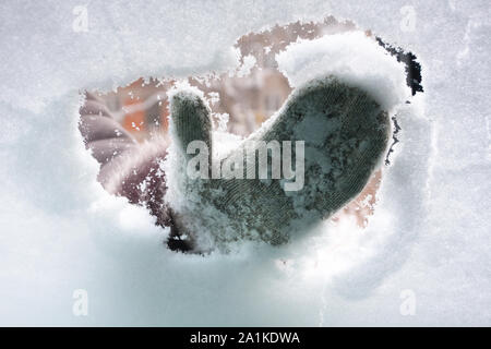 Mano nel guanto di pulizia della finestra auto da neve, vista interna Foto Stock