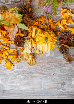 In autunno la vita ancora con la zucca, chantelle funghi, mais, ghiande, coni, bacche rosse, alle erbe, castagne e foglie su sfondo di legno, vista dall'alto (se Foto Stock