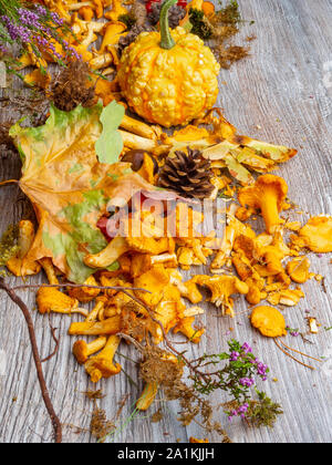 In autunno la vita ancora con la zucca, chantelle funghi, mais, ghiande, coni, bacche rosse, alle erbe, castagne e foglie su sfondo di legno, vista dall'alto (se Foto Stock