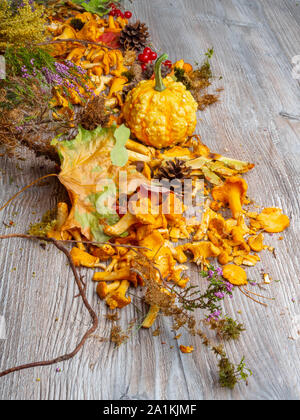 In autunno la vita ancora con la zucca, chantelle funghi, mais, ghiande, coni, bacche rosse, alle erbe, castagne e foglie su sfondo di legno, vista dall'alto (se Foto Stock