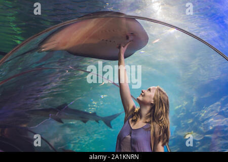 Una giovane donna tocca un pesce di razza in un tunnel oceanarium Foto Stock