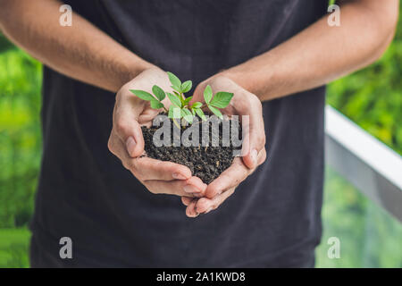 Mani che tengono la giovane pianta verde, su sfondo nero. Il concetto di ecologia, tutela ambientale Foto Stock
