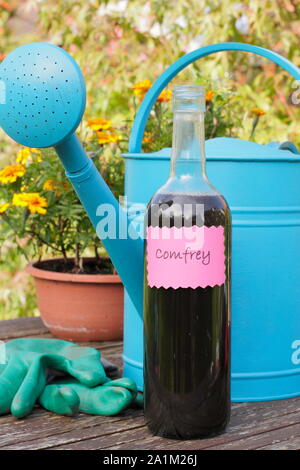 Symphytum. Home reso liquido fertilizzante comfrey pronto per diluizione in un annaffiatoio prima alimentazione di piante da giardino. Regno Unito Foto Stock