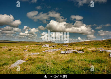 Tor ruvida e Brown Willy da Alex Tor, Bodmin Moor in Cornovaglia Foto Stock