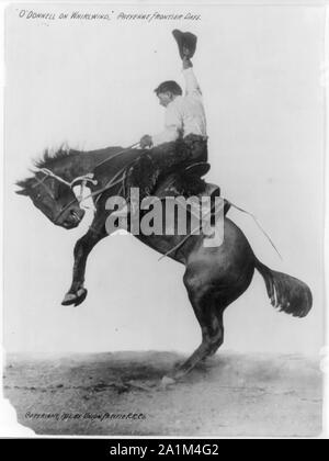 O'Donnell su turbine [strappi bronco], Cheyenne Frontier Days Foto Stock