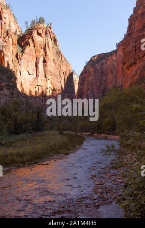 All'interno del Canyon Zion Utah Foto Stock