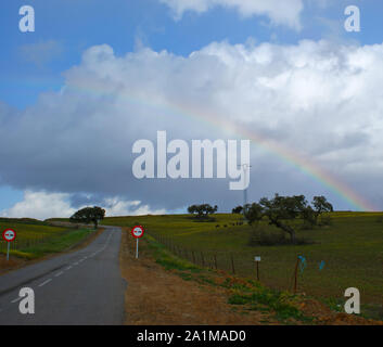 Arcobaleno su prato e strada Foto Stock