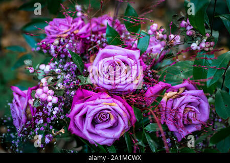 Bella composizione floreale fatta di blu e viola le rose in diverse sfumature Foto Stock