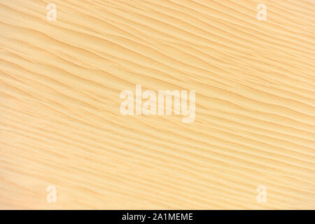 Splendida vista di alcune dune di sabbia che formano una consistenza naturale. Deserto di Dubai, Dubai, Emirati Arabi Uniti, Emirati arabi uniti. Foto Stock