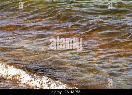 Bellissimo lago di acque in colori verde, marrone e oro con morbide ondulazioni sulla superficie Foto Stock